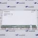 AUO B156XW02 V.0 (15.6", 1366*768, LVDS, 40 pin, Глянцевая) Матрица 2000000408996 фото 1