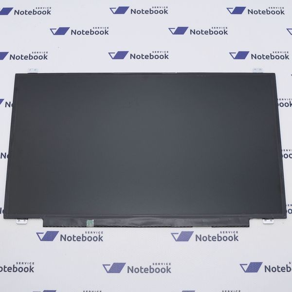 BOE NT173WDM-N21 (17.3", 1600*900, eDP 30 pin, вушка верх-низ, матова) Матриця 656991 фото