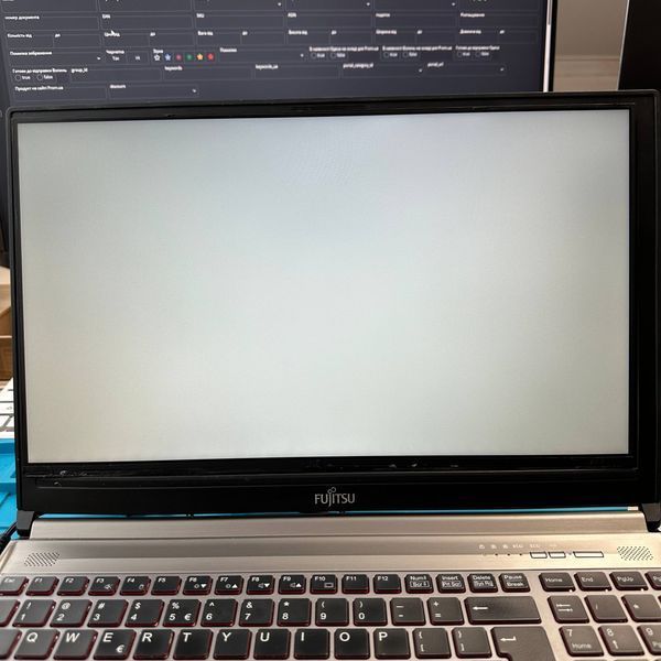 AOU B156HTN06.1 ( 15.6", 1920*1080, eDP 30Pin, Slim, матова ) Матриця 300006027 фото