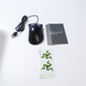 Миша ігрова Razer DeathAdder Essential 768250 фото 6